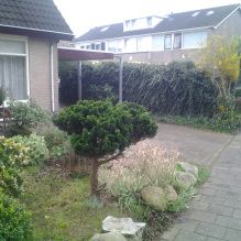 Voortuin met diverse struikjes