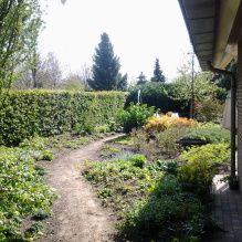 Romantische tuin met pad