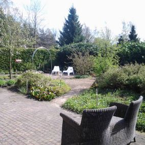 Romantische tuin