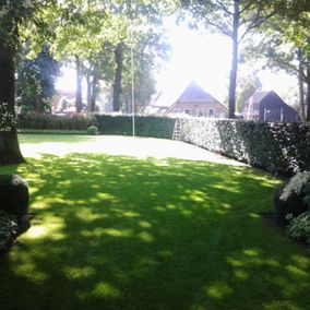 Tuin met mooi grasveld en haag